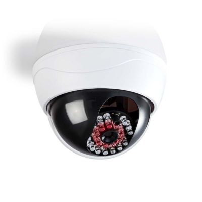 Caméra factice dôme de surveillance IP44 CONECTICPLUS