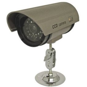 Caméra de surveillance factice intérieure/extérieure Chacon