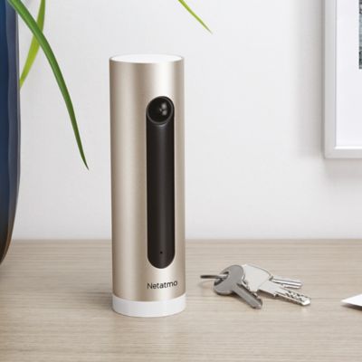 Caméra Intérieure Intelligente Netatmo