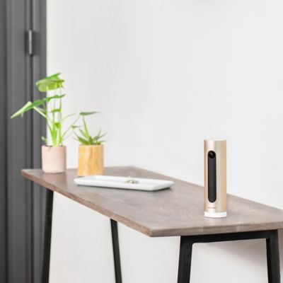 Caméra Intérieure Intelligente Netatmo