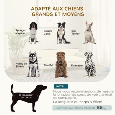 Canapé chien lit pour chien design scandinave coussin moelleux piètement bois dim. 100L x 62l x 32H cm polyester beige