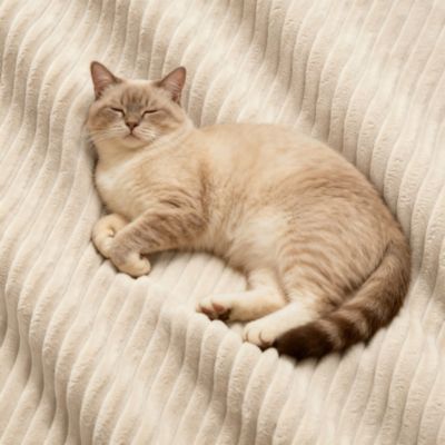 Canapé modulaire sans os,Beige,moderne,confortable