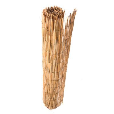 Top 54+ imagen brise vue bambou castorama - fr.thptnganamst.edu.vn