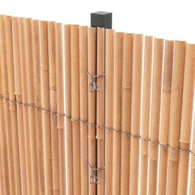 Canisse en bambou Blooma L.3 x H.1 m