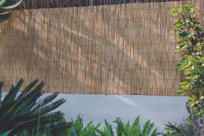 Canisse en roseau L.5 x H.1,5 m marron foncé Nortene