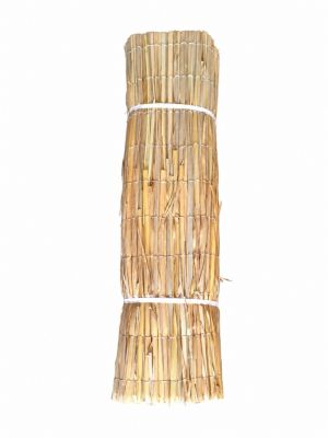 Canisse en roseau pressé - brise-vue pour clôture 100x300 cm