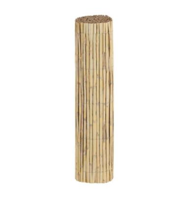 Canisse Roseau Fendu - Ht 1m50 (Lot de 5)