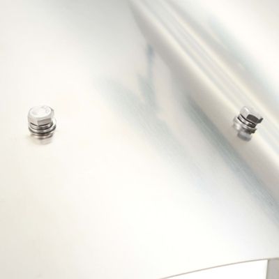 Capot de cheminée Acier inoxydable Argenté