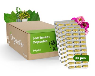 Capsules contre les Insectes des Feuilles - 36 pièces - Organifer