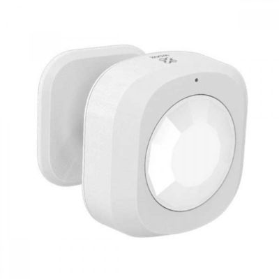 Capteur De Mouvement Intelligent R7046