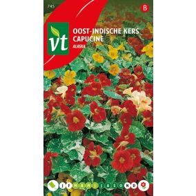Capucine Alaska - Ca. 3.5 gr   Graines de fleurs