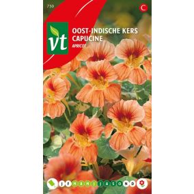 Capucine Apricot - Ca. 3.5 gr   Graines de fleurs