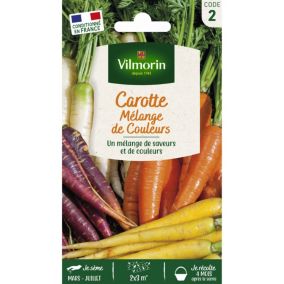 Carotte Mélange de couleurs Vilmorin