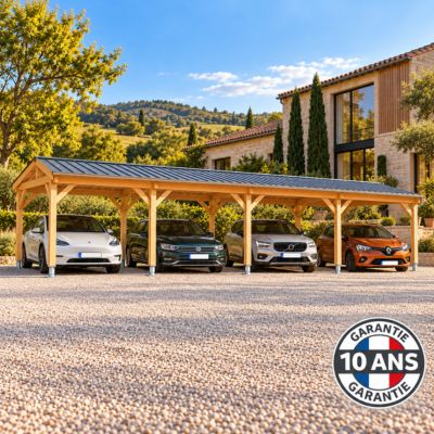 Carport  deux pentes  400cmx1150cm, bois DOUGLAS Français  (Charpente en bois-auvent-abri voiture),  46 m². Garantie 10 ans