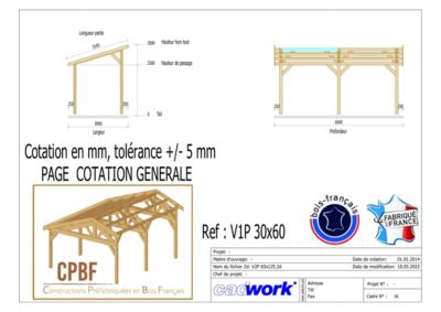 Carport monopente 300cmx600cm bois DOUGLAS Français label PEFC (Charpente - Auvent - Abri voiture) surface 18 m²