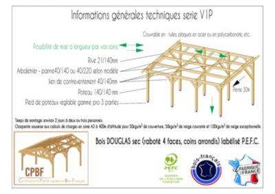 Carport monopente 300cmx600cm bois DOUGLAS Français label PEFC (Charpente - Auvent - Abri voiture) surface 18 m²