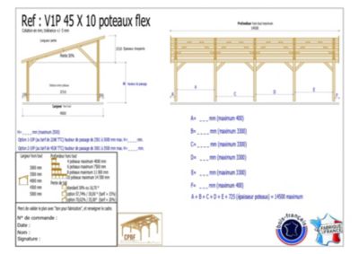 Carport monopente 450cm x 10 poteaux bois DOUGLAS Français label PEFC (Charpente - Auvent - Abri voiture)