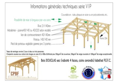 Carport monopente 450cm x 10 poteaux bois DOUGLAS Français label PEFC (Charpente - Auvent - Abri voiture)