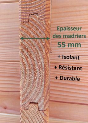 Carport simple en bois Design 3 x 5 m