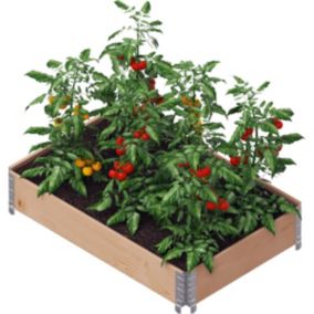 Carré potager Gardenbox 120x80 cm Marron