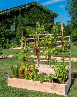 Carré Potager 2 étages Mon Petit Potager Treillis Design 125 x 60 x h.100 cm