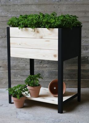 Carré potager bois et zinc noir 36 x 36 x h.72 cm