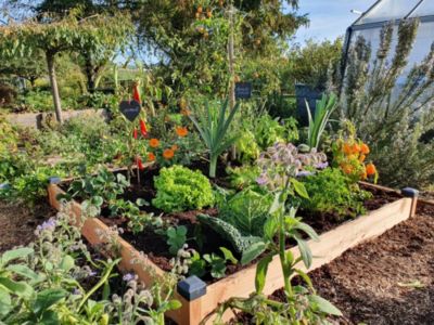 Carré Potager Douglas Premium 126 x 126 x 14 cm Mon Petit Potager
