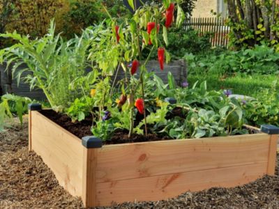 Carré potager Douglas premium Haut 82X82X26 cm Mon Petit Potager