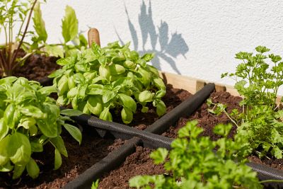 Carré potager Jardipolys 120 x 60 x h.86,5 cm