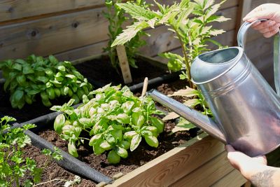 Carré potager Jardipolys 120 x 60 x h.86,5 cm
