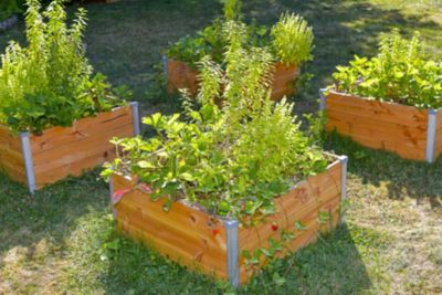 Carré Potager Mon Petit Potager Design