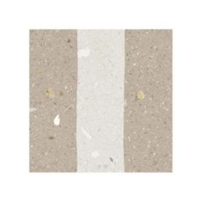 Carrelage Aspect terrazzo Aroma gris grain 20x20 cm