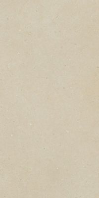 Carrelage Brera Bloom - Mat 60 x 30cm  ( vendu par boite de  1,26 m² )