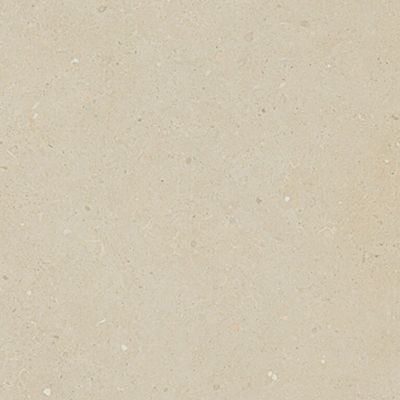Carrelage Brera R11 : adhérence élevée Bloom - ADZ 60 x 60cm  ( vendu par boite de  1,44 m² )
