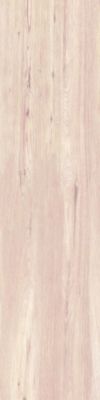 Carrelage Grès Cérame Effet Bois Blanc 30x120 20mm Antidérapant - EPWE1404 (0.72mq )