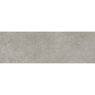 Carrelage mural aspect béton gris Asphalt 30 x 90 cm