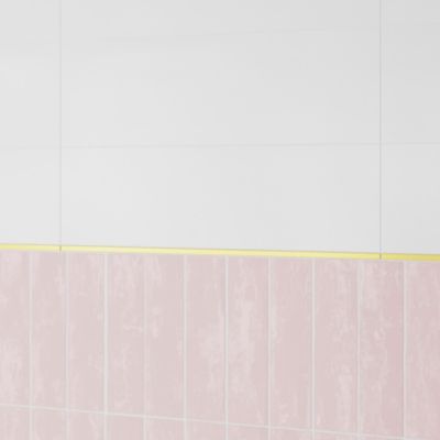 Carrelage mural grès cérame émaillé mat blanc lisse 20 x 60 cm Plain