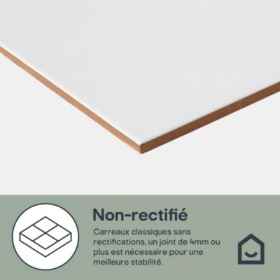 Carrelage mural intérieur blanc mat L.60 x l.30 cm x ép.8,5 mm, Perouso