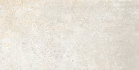 Carrelage sol beige 30,5 x 60,5 cm Sabinia (vendu au carton)