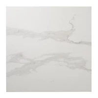 Carrelage sol blanc poli 60 x 60 cm Ultimate Marble