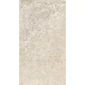 Carrelage sol et mur Arina gris 30 x 60 cm