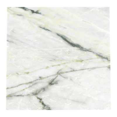 Carrelage sol et mur Aruma blanc vert 60 x 60 cm