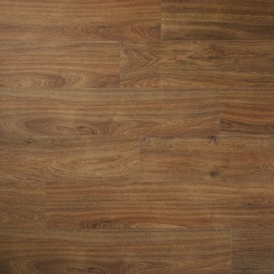 Carrelage sol et mur aspect bois miel L.120 x l.20 cm x ép.9 mm, Antic Rustic