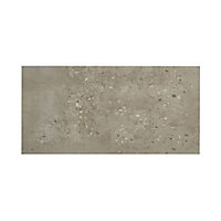 Carrelage sol et mur beige 30,2 x 60,4 cm Panaro (vendu au carton)