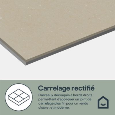 Carrelage sol et mur effet marbre beige brillant L.60 x l.60 cm x ép.8 mm, Musetta
