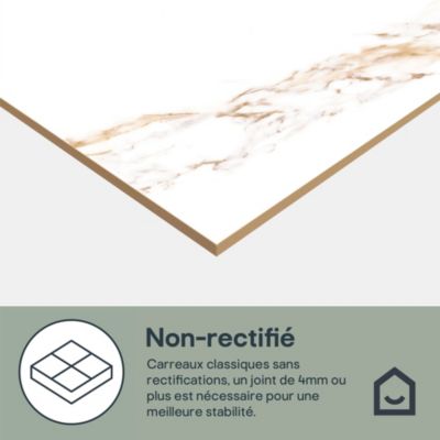 Carrelage sol et mur effet marbre blanc et doré brillant L.60,8 x l.60,8 cm x ép.8,8 mm, Aruma