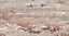 Carrelage sol et mur extérieur rose Denali 30 x 60 cm