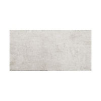 Carrelage sol et mur gris 30 x 60 cm Amorosi (vendu au carton)