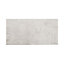 Carrelage sol et mur gris 30 x 60 cm Amorosi (vendu au carton)