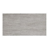 Carrelage sol et mur gris 31 x 61,8 cm Cosenza (vendu au carton)